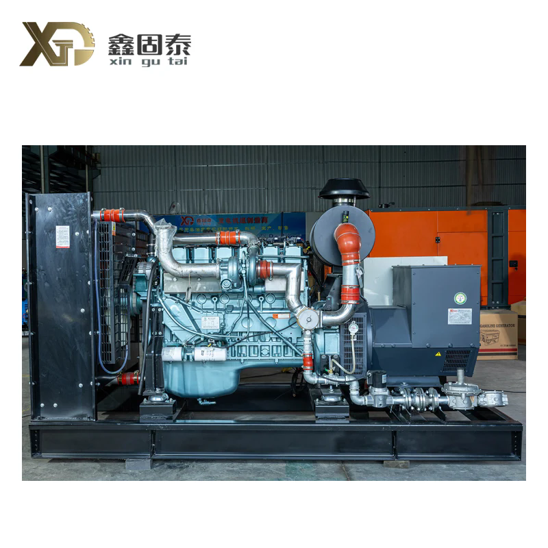 Gas Generator Set